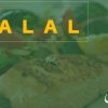 54 Faraid Series – Fard #7: To Consume Only Halal Foods (19 March 2010)