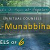 Al Munabbihat: Counsel of Sixes #13 – Ustadh Mahmud A. Kürkçü (28 Feb 2012)