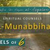 Al Munabbihat: Counsel of Sixes #7 – Ustadh Mahmud A. Kürkçü (12 Jul 2011)