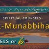 Al Munabbihat: Counsel of Sixes #8 – Ustadh Mahmud A. Kürkçü (19 Jul 2011)